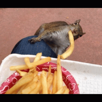 Sloth (USA-2) : Doesn't Even Need Ketchup!